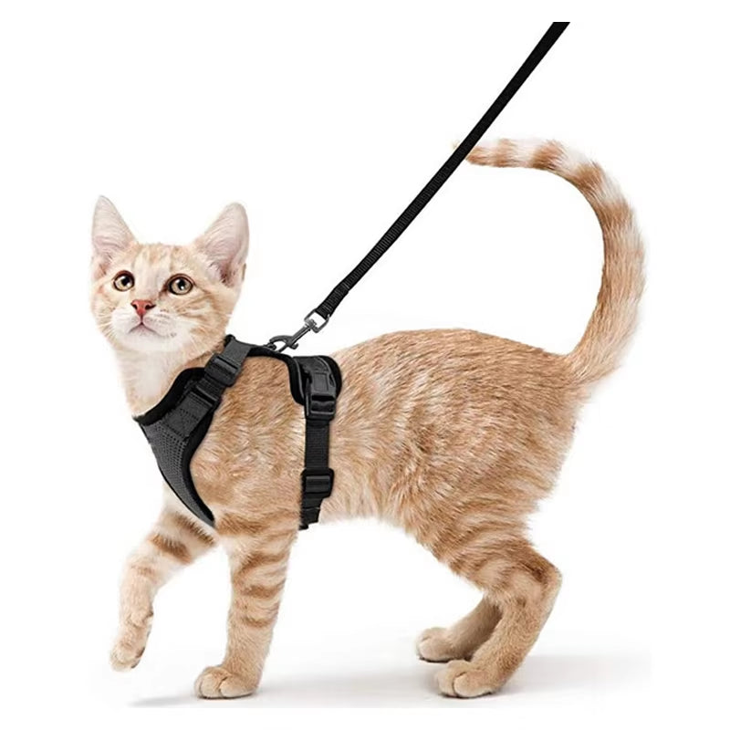 Cat Harness and Leash for Walking, Escape Proof Soft Adjustable Vest Harnesses for Cats, Easycontrol