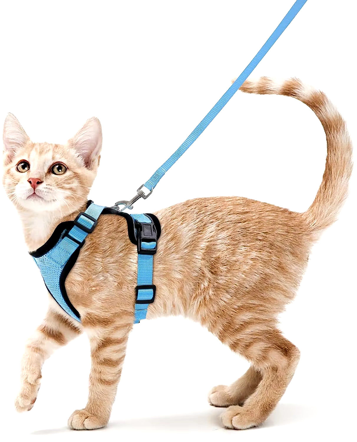 Cat Harness and Leash for Walking, Escape Proof Soft Adjustable Vest Harnesses for Cats, Easycontrol